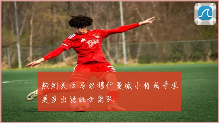 热刺关注马尔穆什曼城小将或寻求更多出场机会离队